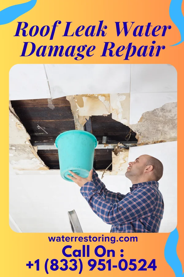 Roof Leak Water Damage Repair in Hendersonville, TN