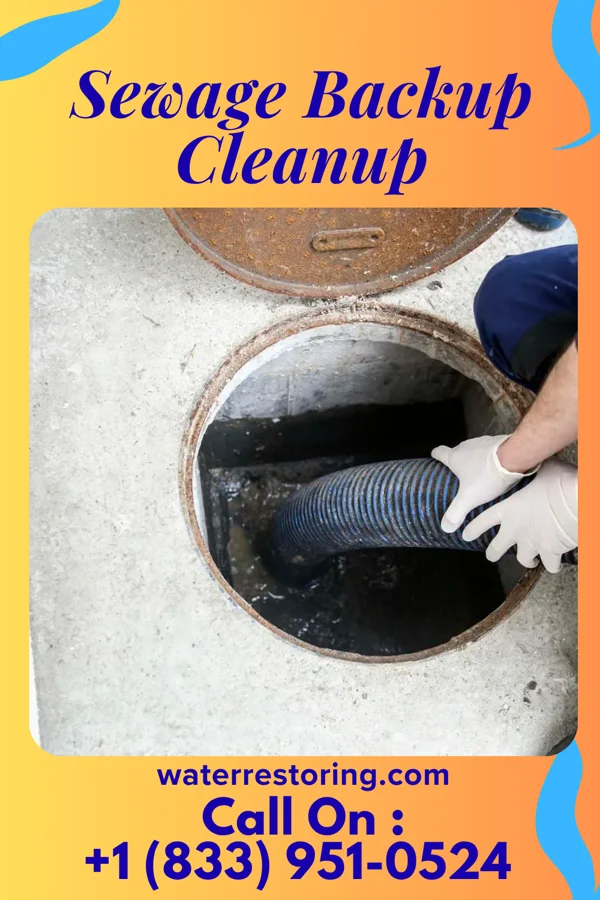 Sewage Backup Cleanup in Hendersonville, TN